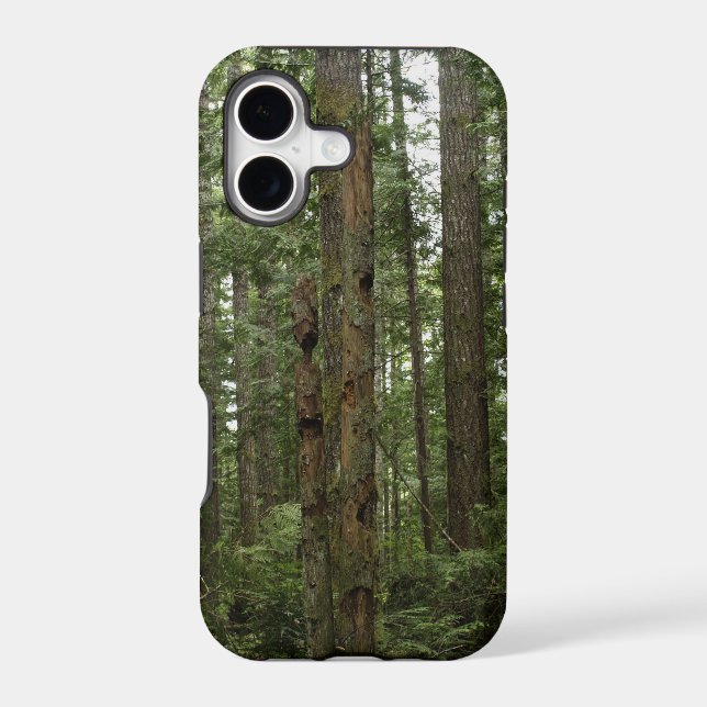 Green Totem Tree Forest Nature Scene (Back)