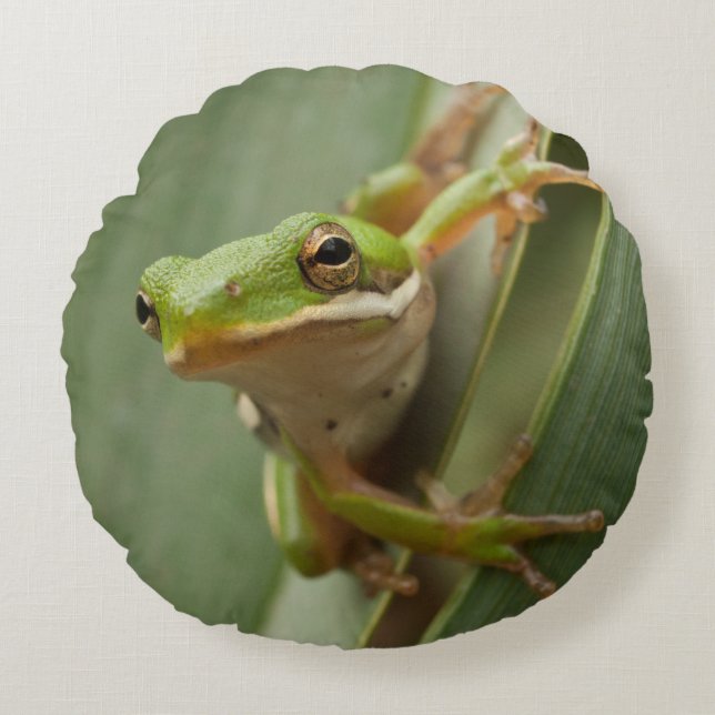 Green Tree Frog 2 sided round pillow (Front)
