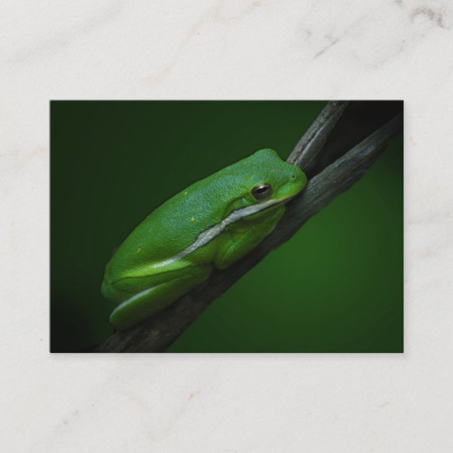 Green Tree Frog ATC Card (Front)