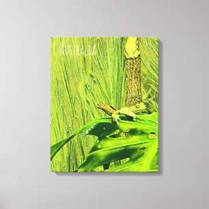 Green Tree Frog Australian frog Canvas Print
