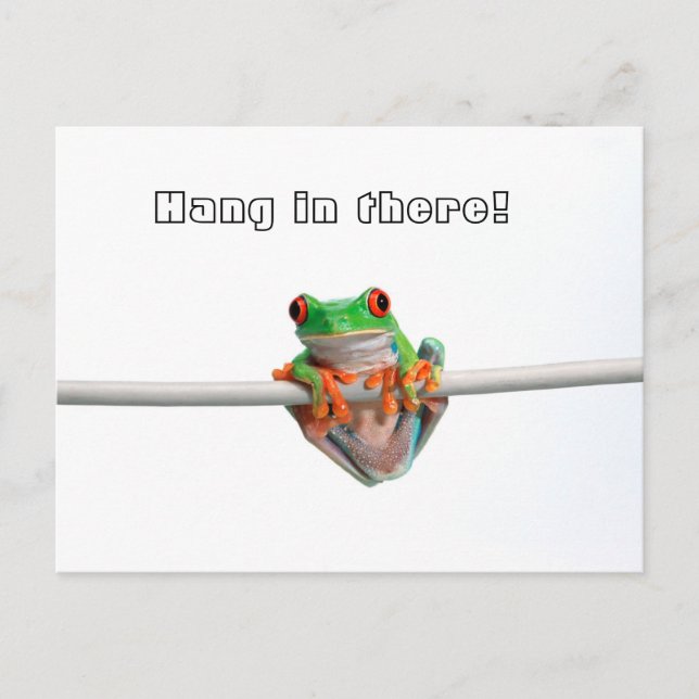 Green tree frog - Hang... Postcard (Front)
