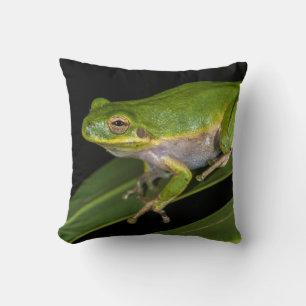 Green Tree Frog (Hyla cinerea) 2 Throw Pillow