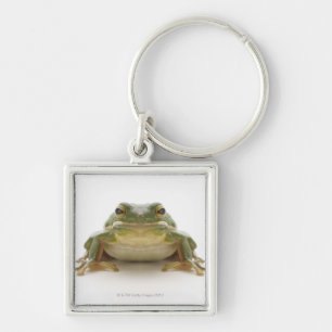 Green tree frog (Hylidae cinerea) Keychain