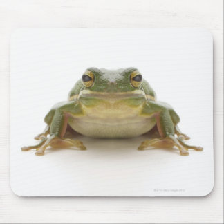 Green tree frog (Hylidae cinerea) Mouse Pad