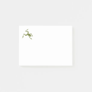 Green Tree Frog Illustration Post-it Notes