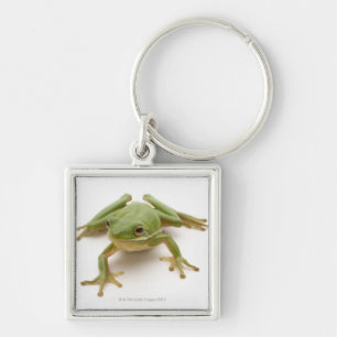 Green Tree Frog Keychain
