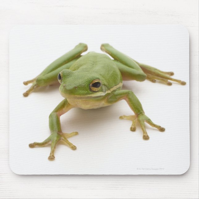 Green Tree Frog Mouse Pad (Front)