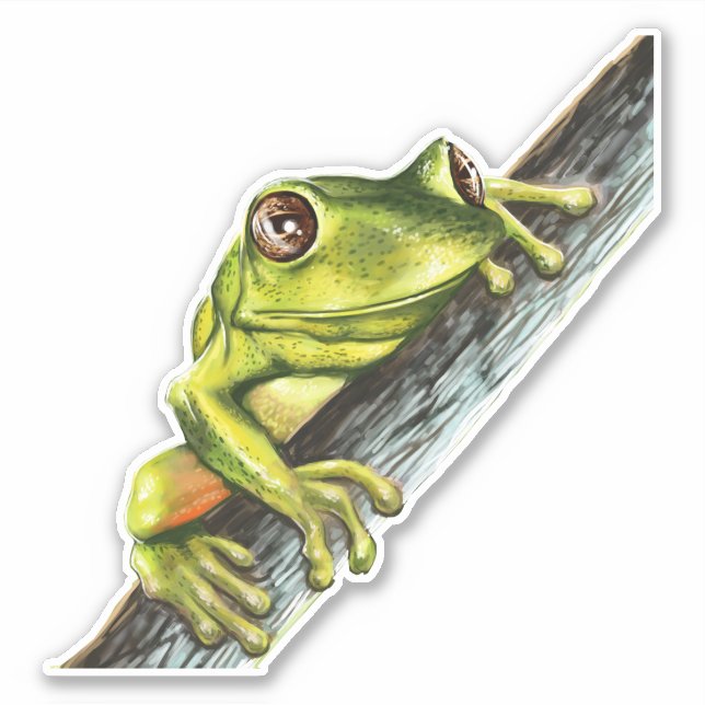 Green tree frog on a branch with big eyes vinyl (Front)