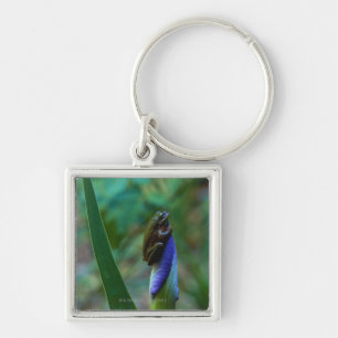 Green Tree Frog on Iris Keychain