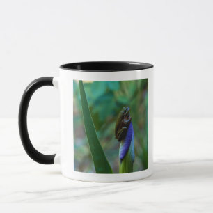 Green Tree Frog on Iris Mug