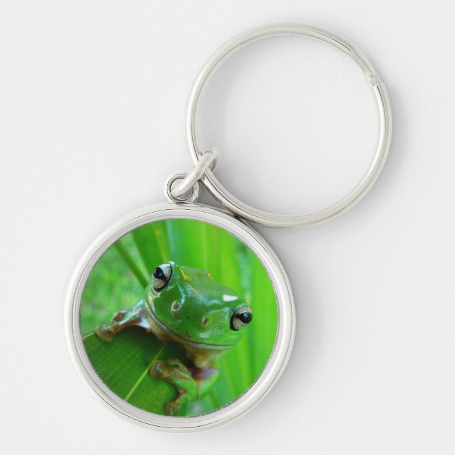 Green Tree Frog on Leaf Keychain (Front)