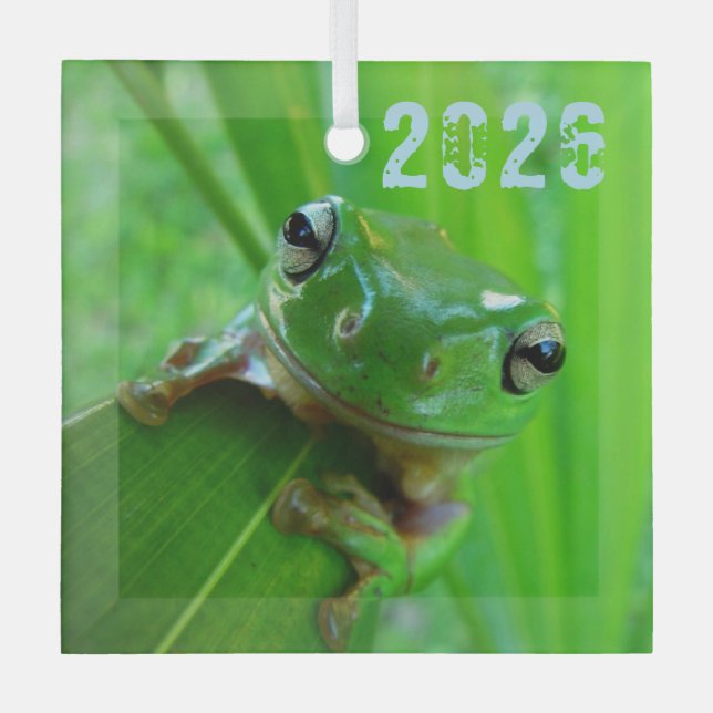 Green Tree Frog Ornament (Front)