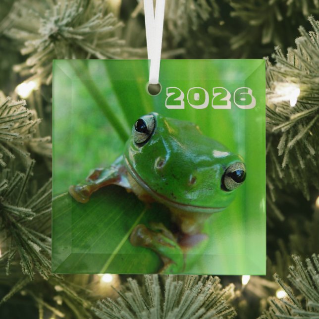 Green Tree Frog Ornament (Insitu)