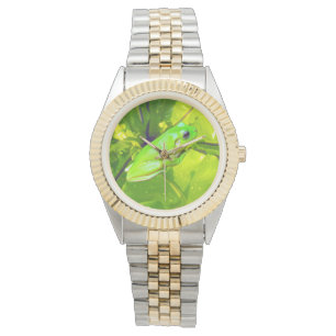Green Tree Frog, Unisex Wristwatch