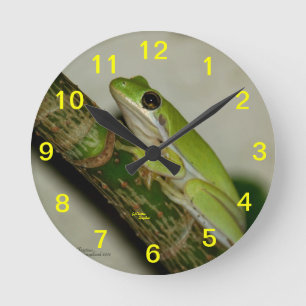 Green tree frog Wall Clock