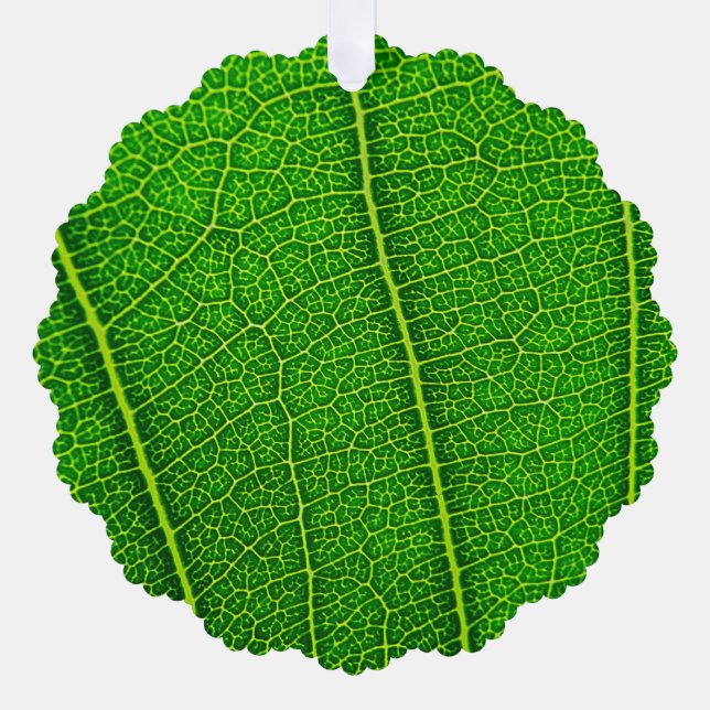 Green Tree Leaf Ornament Card (Front)