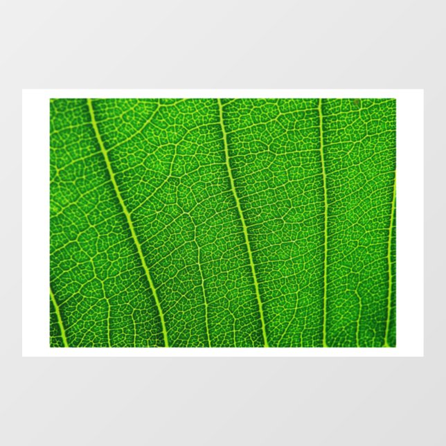 Green Tree Leaf Window Cling (Sheet)