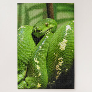 Green Tree Python Jigsaw Puzzle
