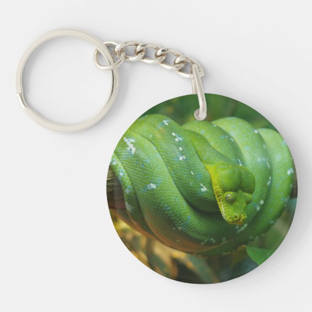 Green Tree Python Snake Keychain (Front)