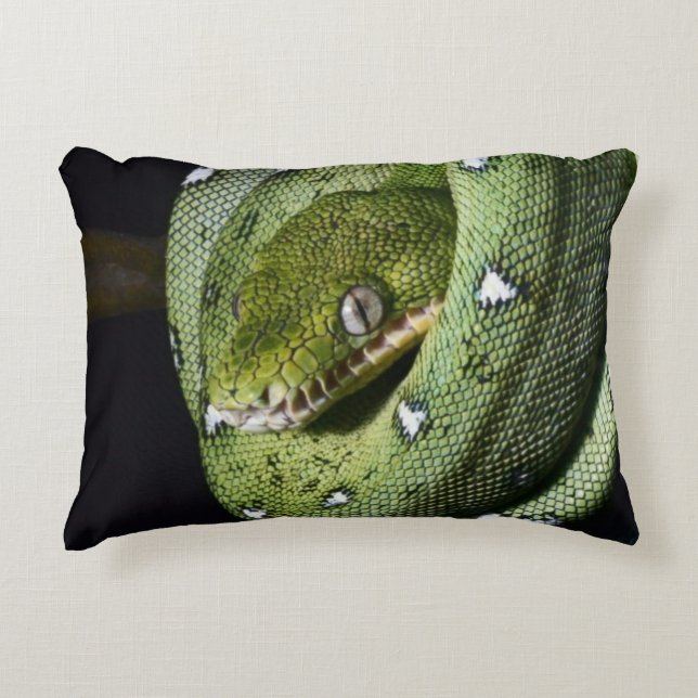 Green tree snake emerald boa in Bolivia Decorative Pillow (Front)