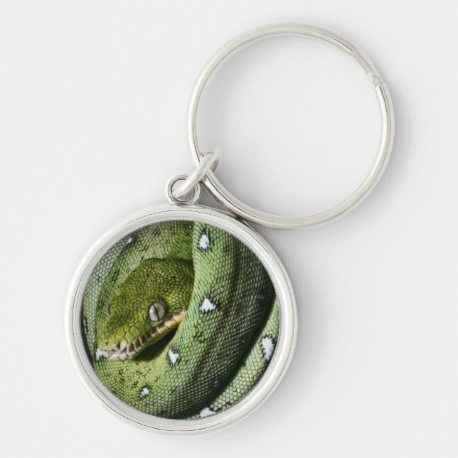 Green tree snake emerald boa in Bolivia Keychain (Front)