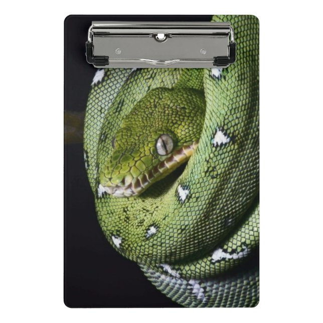 Green tree snake emerald boa in Bolivia Mini Clipboard (Front)