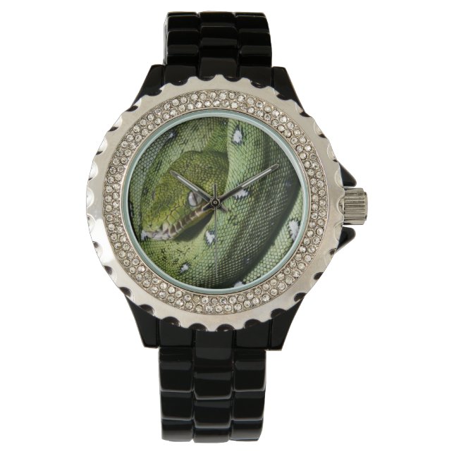 Green tree snake emerald boa in Bolivia Watch (Front)