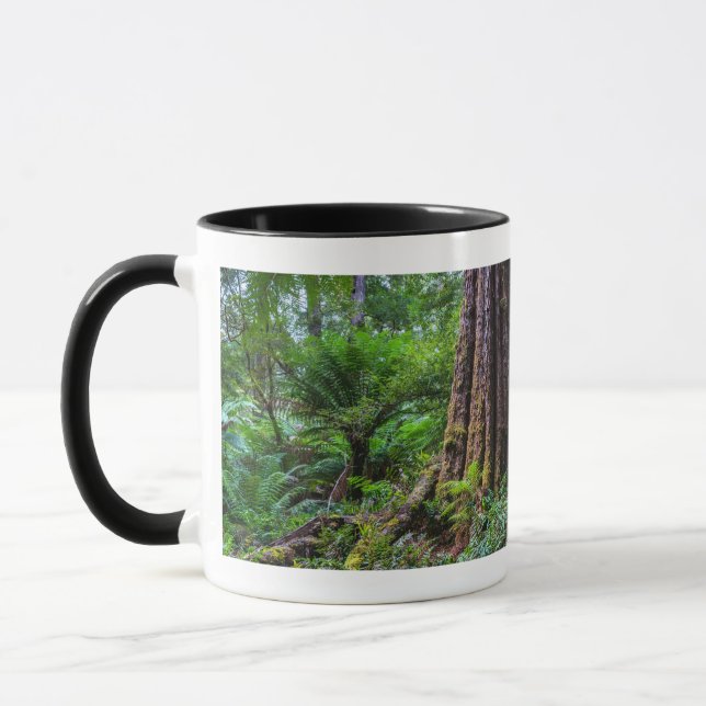 Green trees at Great Otway rainforest Australia Mug (Left)