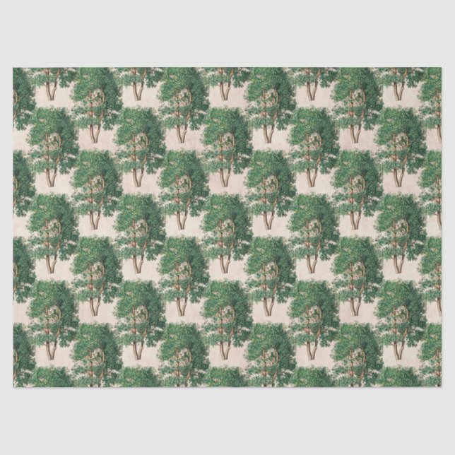 Green Trees Decoupage Tissue Paper (Front)