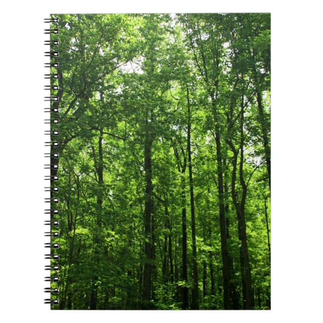 Green Trees Notebook #6183 (Front)