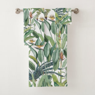 Green Tropical Jungle Banana Tree Strelitzia