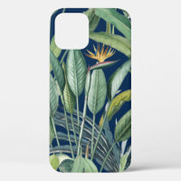 Green Tropical Jungle Banana Tree Strelitzia