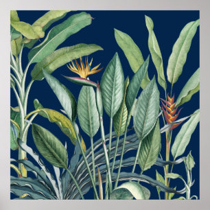 Green Tropical Jungle Banana Tree Strelitzia Poster
