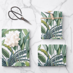 Green Tropical Jungle Banana Tree Strelitzia Wrapping Paper Sheet