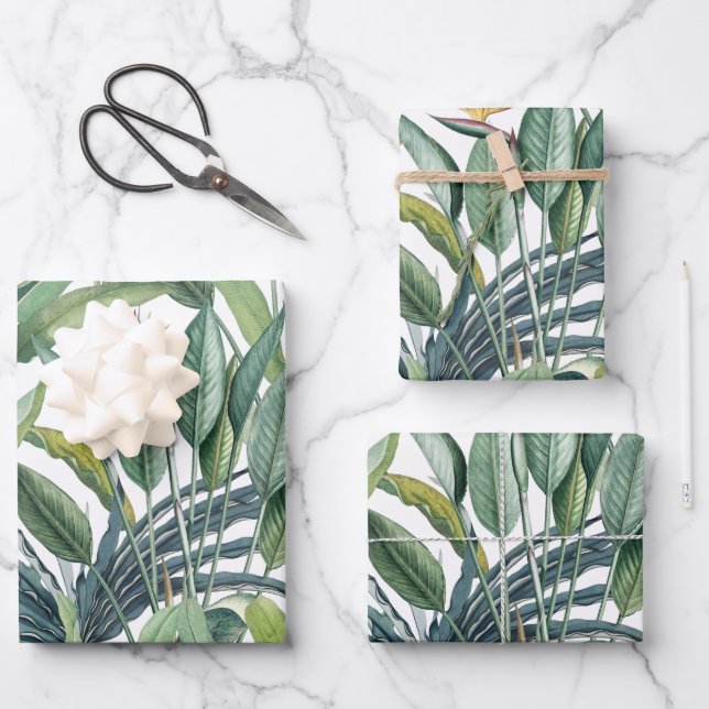 Green Tropical Jungle Banana Tree Strelitzia Wrapping Paper Sheet (Front)
