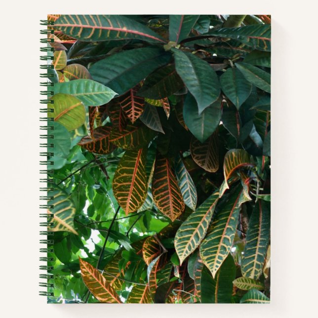 Green Tropical Jungle Notebook (Front)