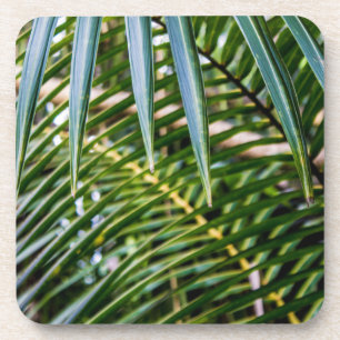 Green Tropical Leaves Coaster