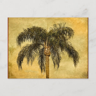 Green Tropical Palm Tree Hawaiian Vintage Palms Postcard
