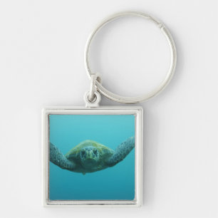 Green Turtle (Chelonia mydas agassisi), Central Keychain