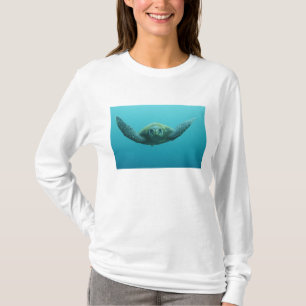 Green Turtle (Chelonia mydas agassisi), Central T-Shirt