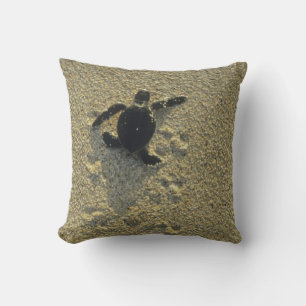 Green Turtle, (Chelonia mydas), hatchling Throw Pillow