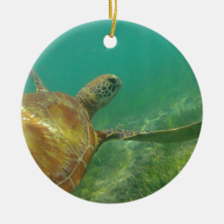 Green-turtle-Great-Barrier-Reef.JPG Ceramic Ornament