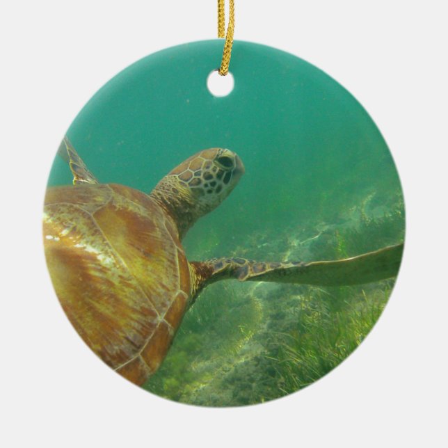 Green-turtle-Great-Barrier-Reef.JPG Ceramic Ornament (Front)