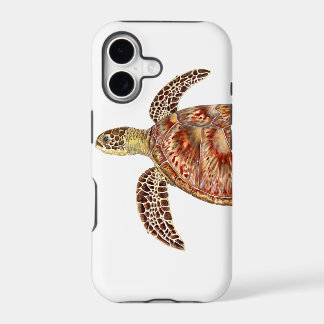 Green turtle - Tortue verte Chelonia mydas