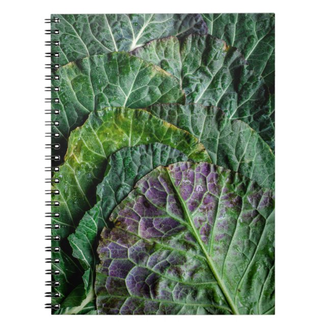 Green vegetable notebook (Front)