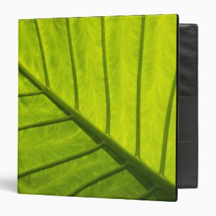 Green veined leaves of tropical foliage in 2 binder
