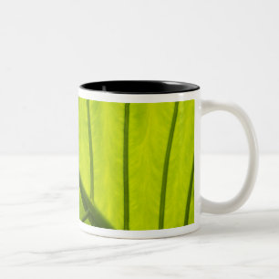 Green veined leaves of tropical foliage in 2 Two-Tone coffee mug