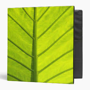 Green veined leaves of tropical foliage in binder