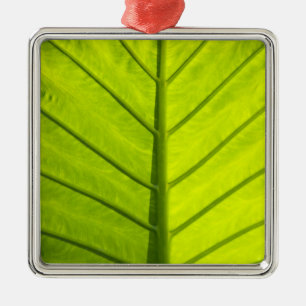 Green veined leaves of tropical foliage in metal ornament