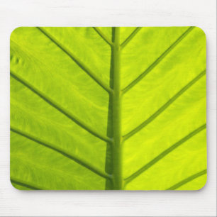 Green veined leaves of tropical foliage in mouse pad